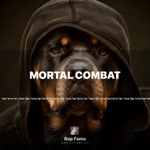 mortal combat