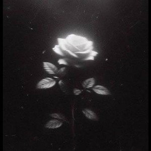 Without You