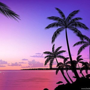 Summertime Blues