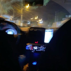 Freestyle UberChic 1