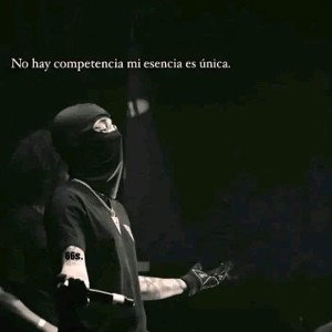 Vengo con mis rimas