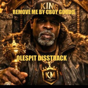 Remove Me ( olespit diss track )