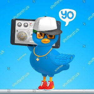 Bird Call 