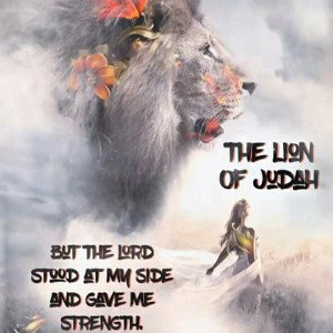 king of kings 