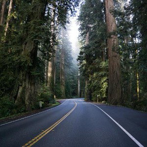 Unfiltered Roads