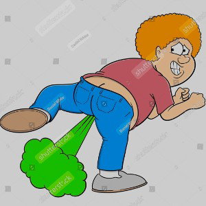fart memes