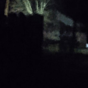 Zack Sheffield - Untitled Feb 13_ 2025_ 605AM 2025-03-21 22_34