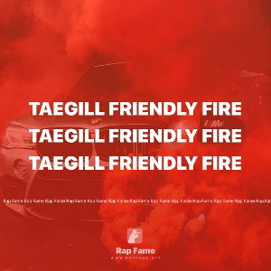 taegill friendly fire