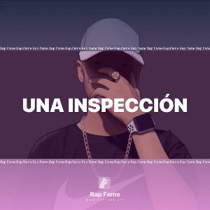 una inspección 