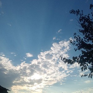 жизнь прекрасна 