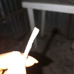 The Z 