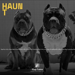 haunt 