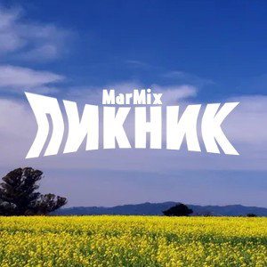 ПИКНИК