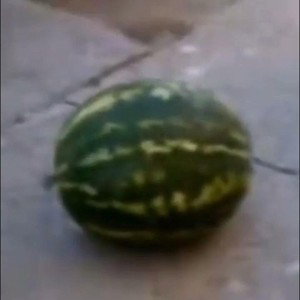 Летний Вайб