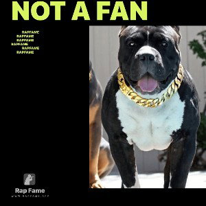 Not a fan