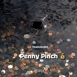 Penny Pinch