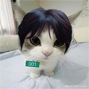 монобровий барон