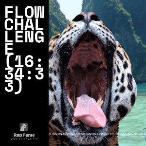 Flow challenge (16:34:33)