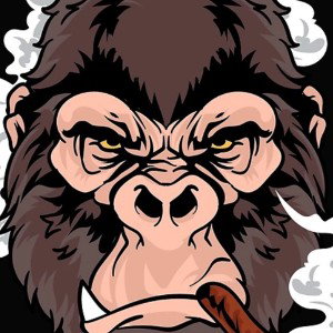 Mr.Gorillamusic
