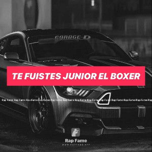 TE FUISTES junior el boxer