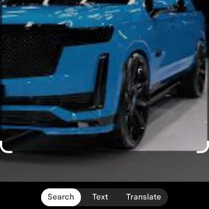 baby blu caddy(2025)