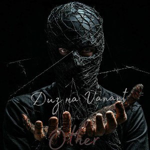 Other-диз на Vanant 