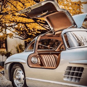 Dem days 