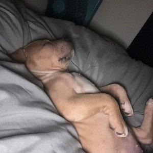 cold case