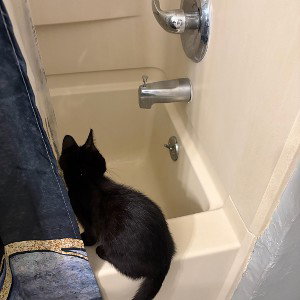 I live alone