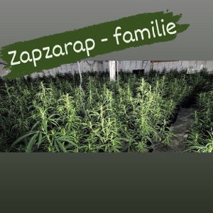 MatheooRAP ft Kanakkekid- Familie 🔥🔥