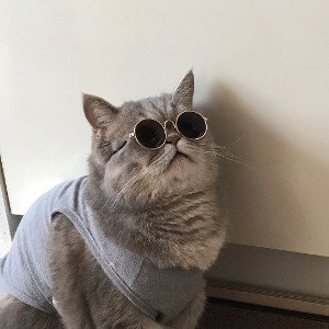 Богатый чел