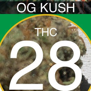 SOO HIGH….