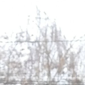 дождь💧