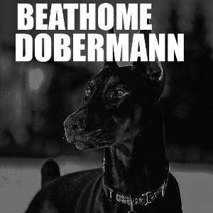 DOBERMANN