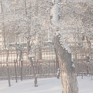 не гнобите зиму