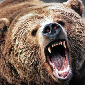 the bear rap song
