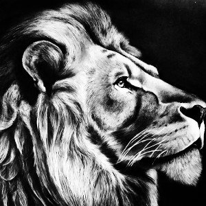 👑ALL_iz_VANITY👑
