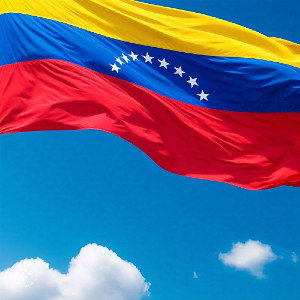 vinotinto