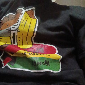 freestyle fanatic