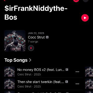 try me dy# $irfrankniddythebos ft ATM Rondo 