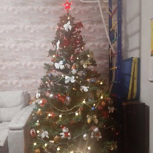 С НОВЫМ ГОДОМ! ЕЩЁ 5.5 ДНЕЙ