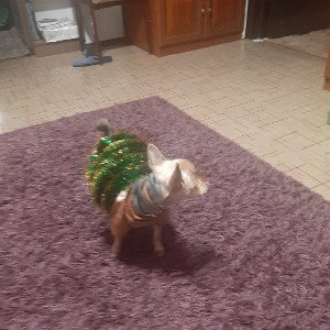 С НАСТУПАЮЩИМ