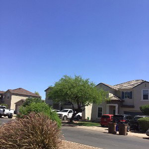 The Summer Vibe