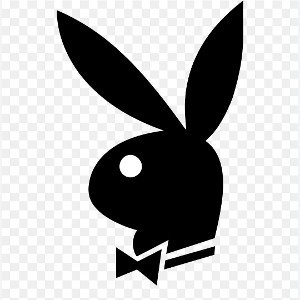 Teenage playboy 2