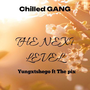 Yungxtshego×The pix-The next level