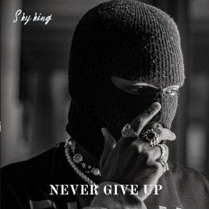 Sky king - Never Give up  