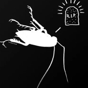 R.I.P ROACH