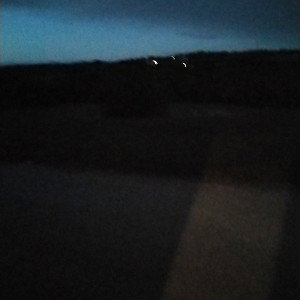 City Lights