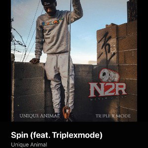 Spin