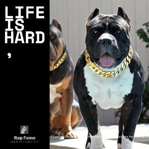 Life is hard,